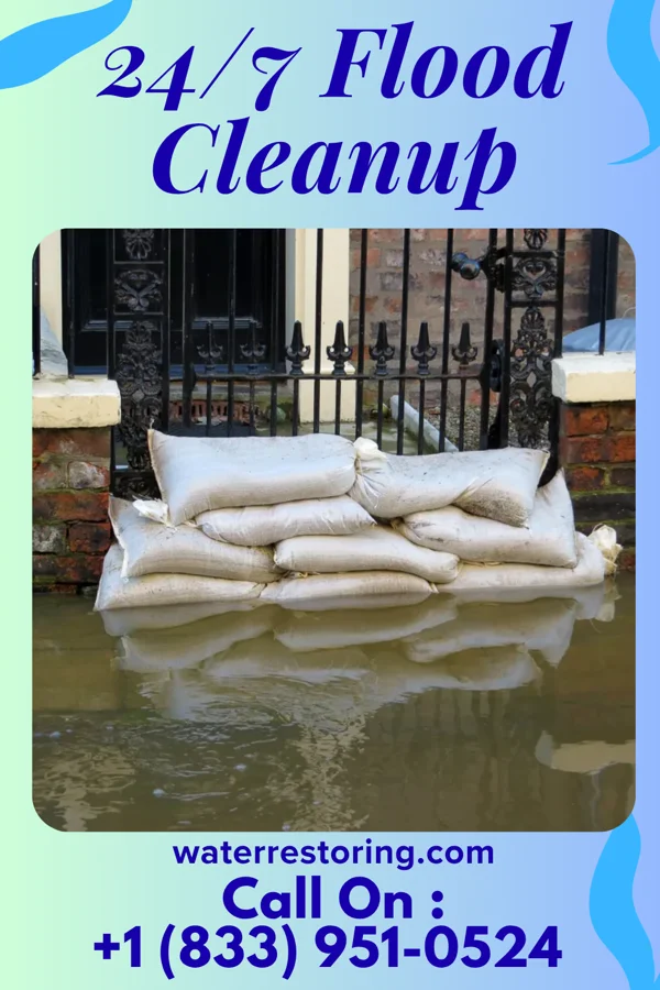 24/7 Flood Cleanup in Diehlstadt, MO
