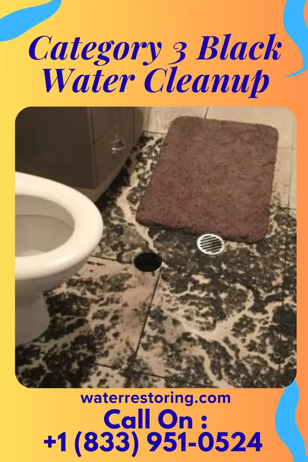 Category 3 Black Water Cleanup in Diehlstadt, MO