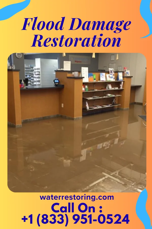 Flood Damage Restoration in Diehlstadt, MO