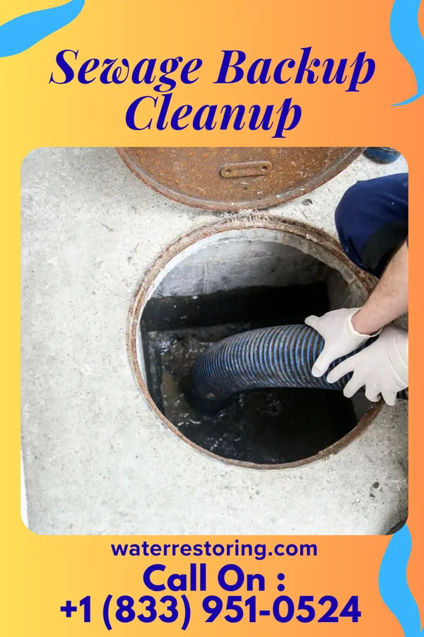 Sewage Backup Cleanup in Diehlstadt, MO