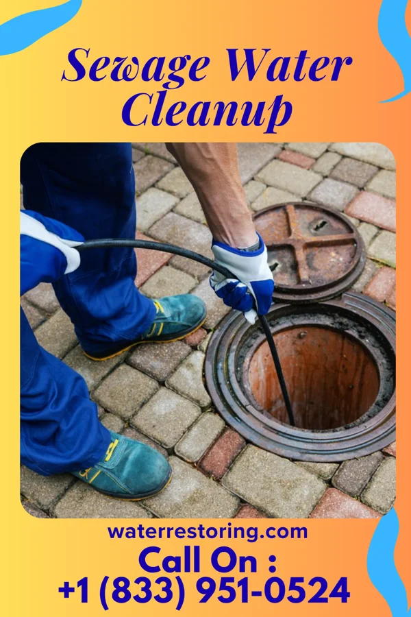 Sewage Water Cleanup in Diehlstadt, MO
